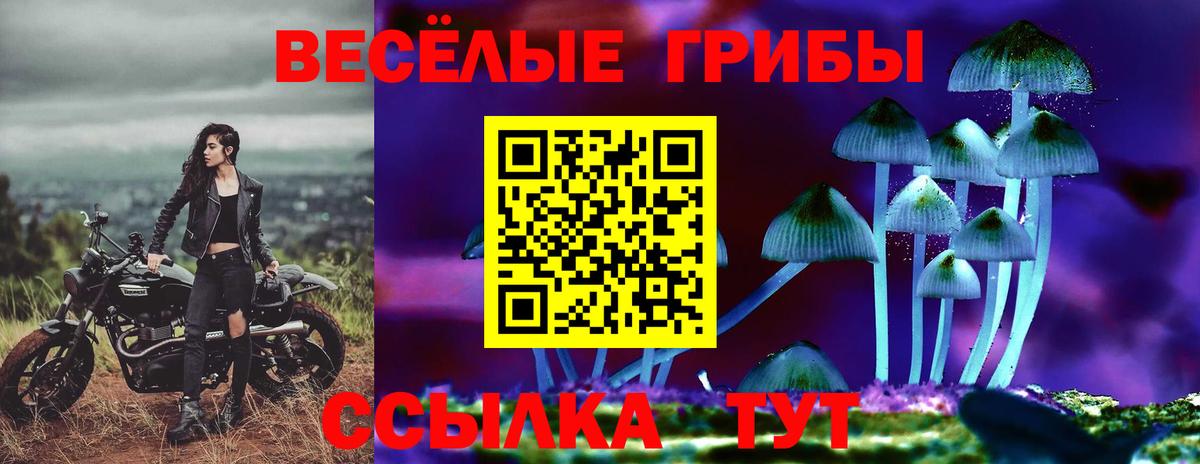 Нижневартовск  Псилоцибиновые грибы мухоморы  Вход с VPN 