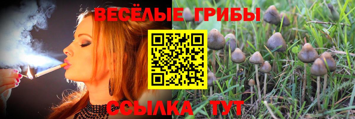 Галлюциногенные грибы MAGIC MUSHROOMS Нижневартовск